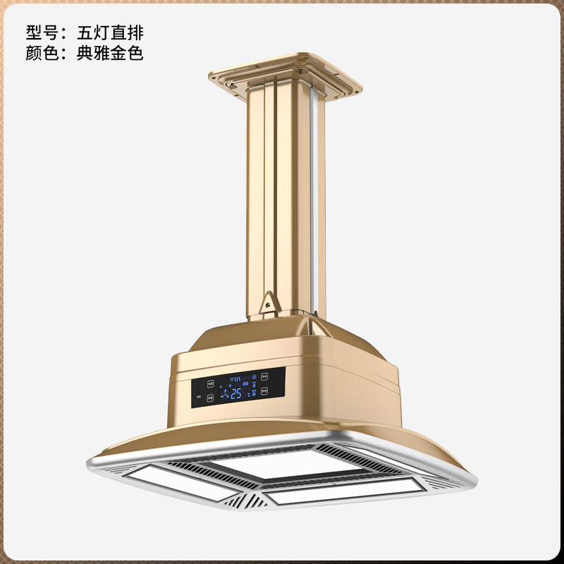 直排無耗材吸煙凈化燈5D-ZP